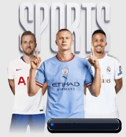 3377体育的故事 - 体育资讯内容服务（3377Sports）